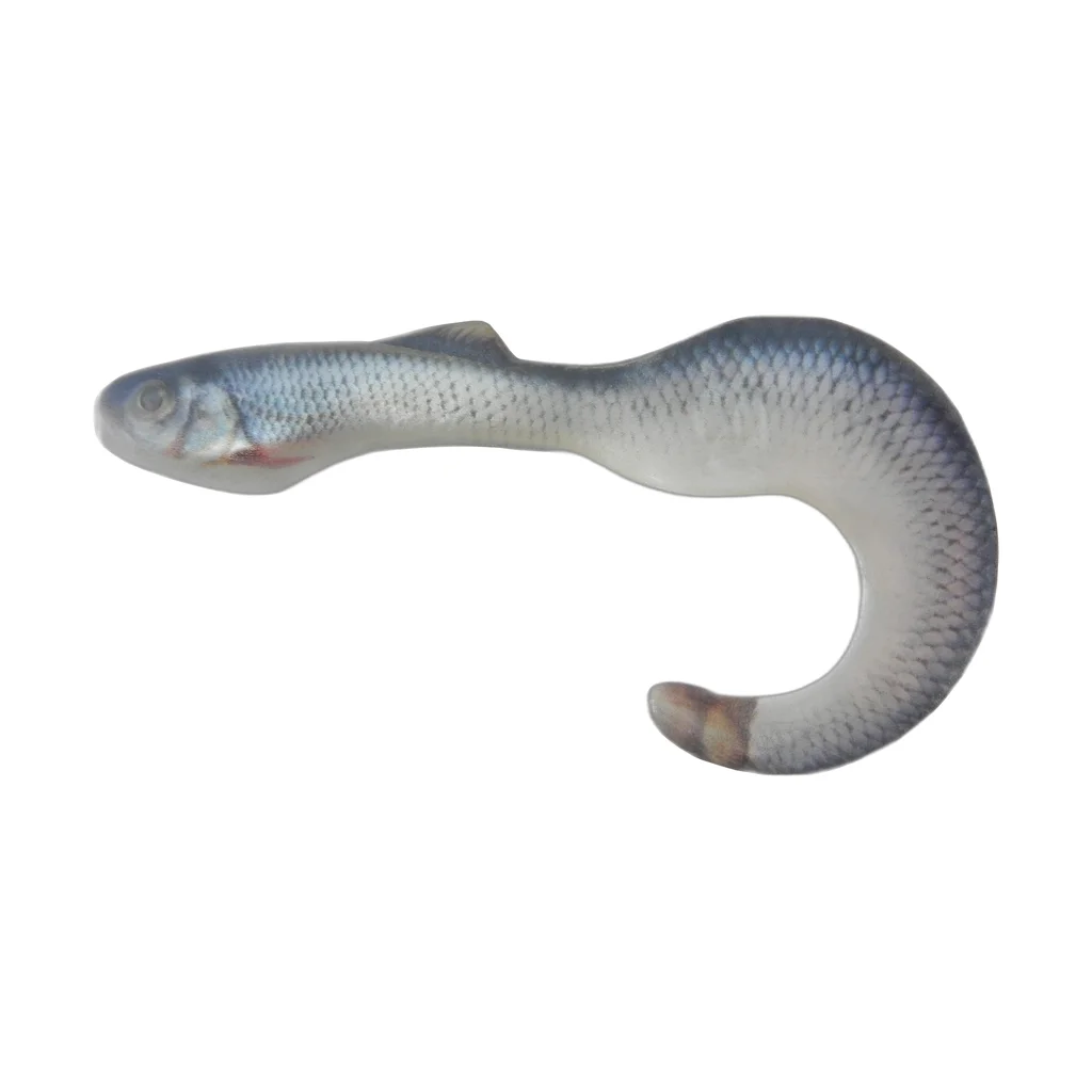 Silver Minnow