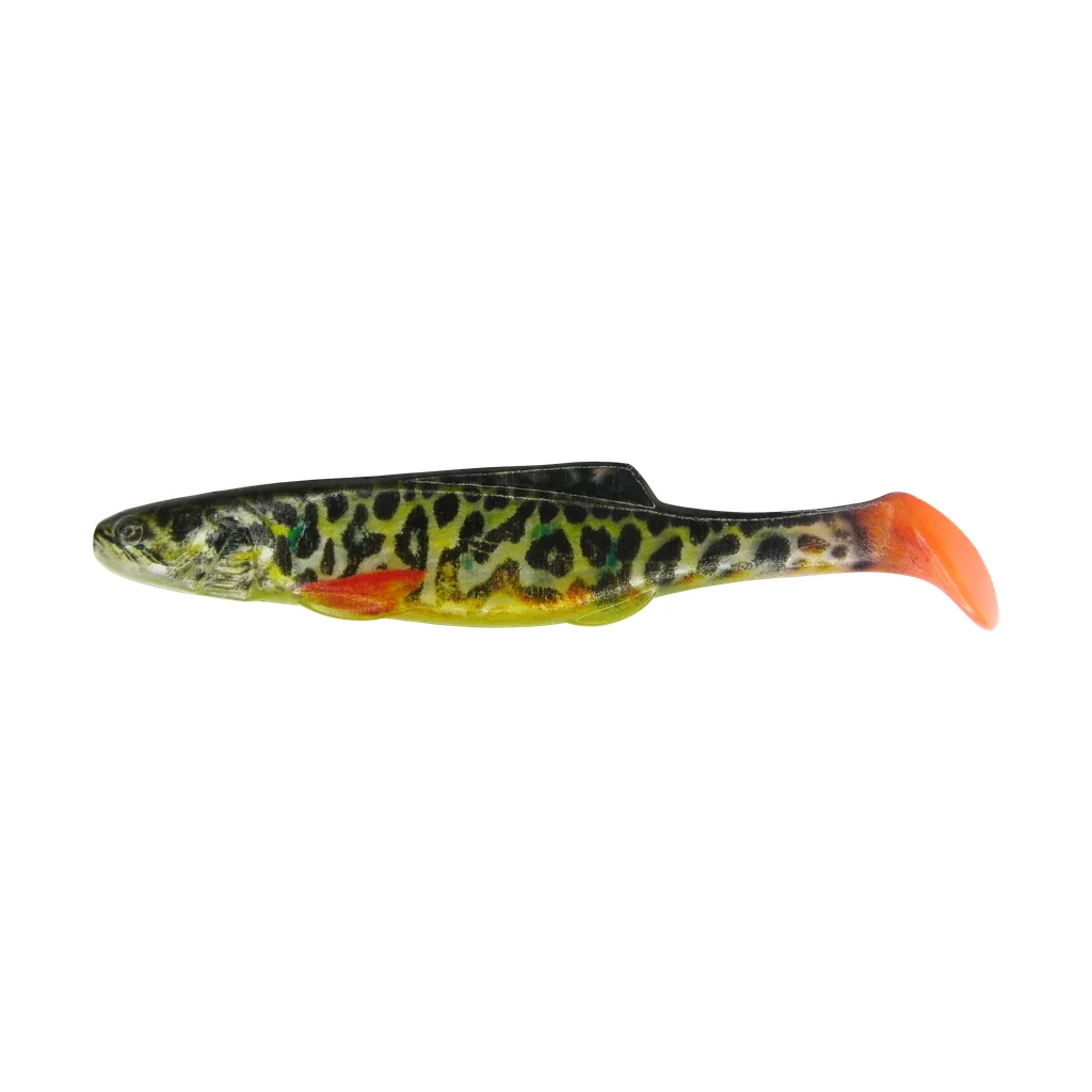 Tiger Trout