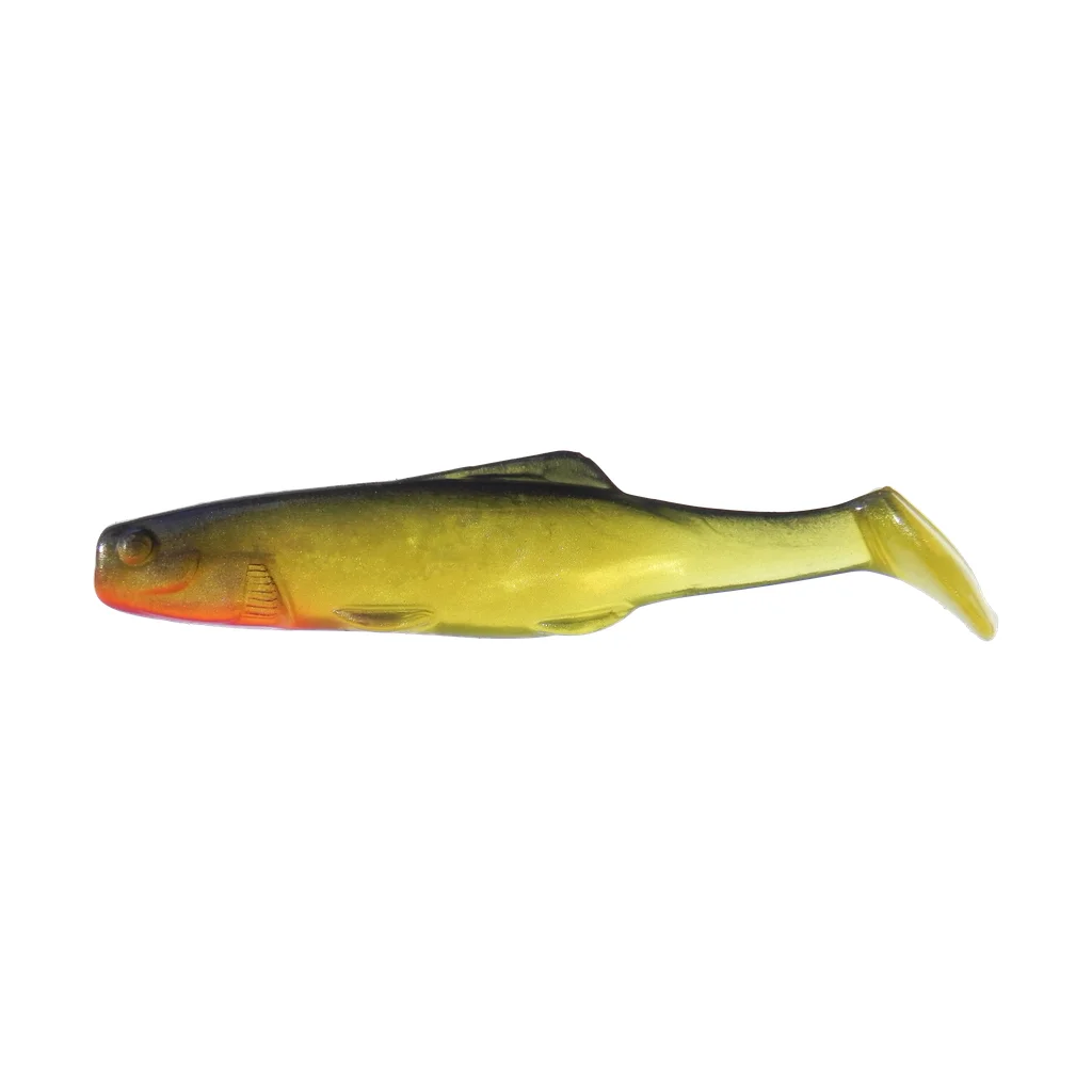 Šed (Shad) Yellow Bass