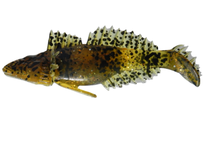 Bullhead 11 cm.